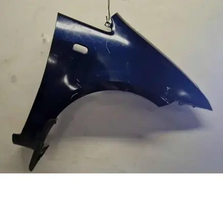 Ford Focus C-MAX Fender