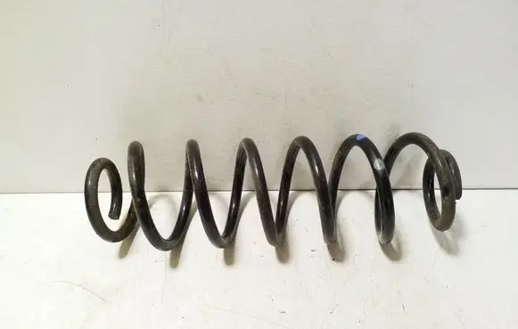 Rear coil spring