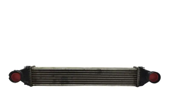 Mercedes-Benz B W245 Intercooler radiator A1695000000