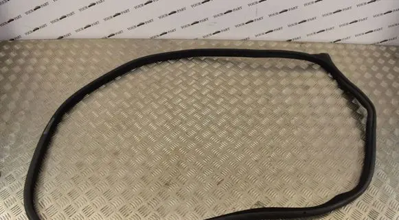 BMW M4 F82 F83 Front door rubber seal 7279741