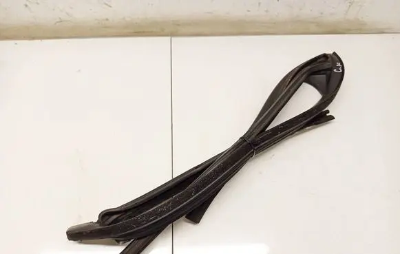 Ford Focus Rubber seal rear door 