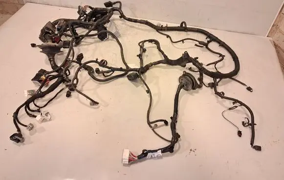 Other wiring loom