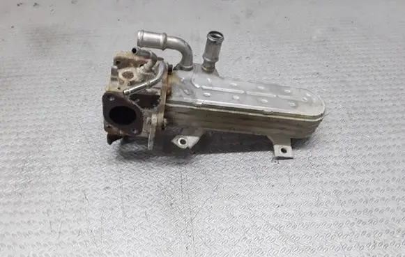 Skoda Octavia Mk2 (1Z) EGR valve cooler 038131513AD