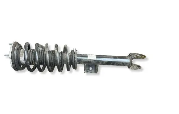 Tesla Model S Plaid Front shock absorber with coil spring 134436101D