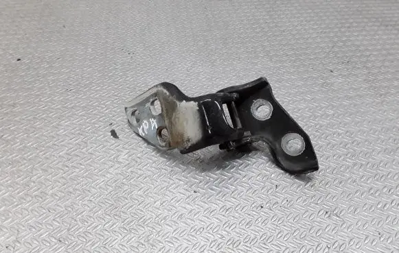 Peugeot Boxer Front door lower hinge 