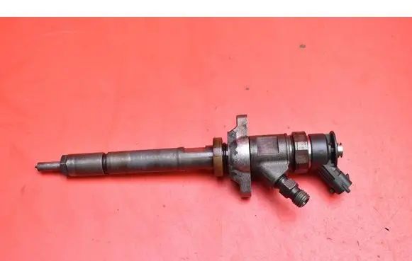 Citroen C5 Fuel injector 0445110297