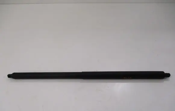 Ford Kuga II Tailgate/trunk strut/damper CJ54S402A74AC