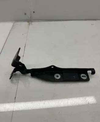 Engine bonnet/hood hinges