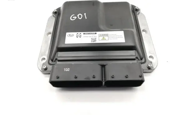 Engine control unit/module