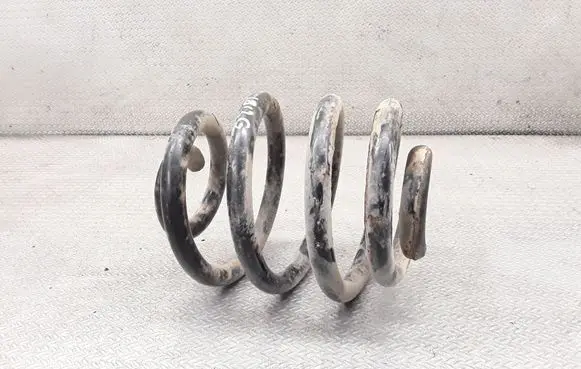 Rear coil spring