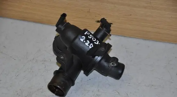 Thermostat/thermostat housing