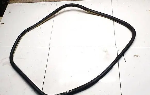 Citroen C5 Rubber seal rear door 