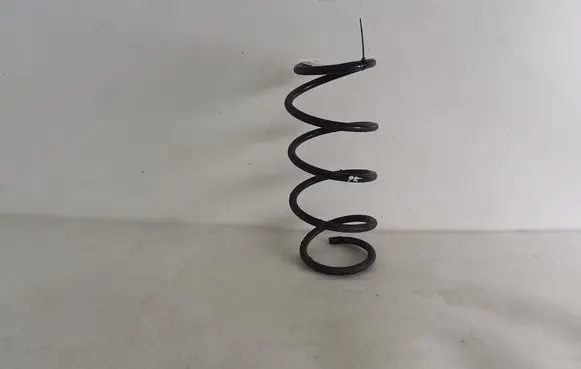 Nissan Juke I F15 Front coil spring 