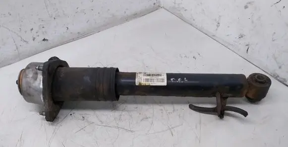 BMW X5 E70 Rear shock absorber/damper 6781930