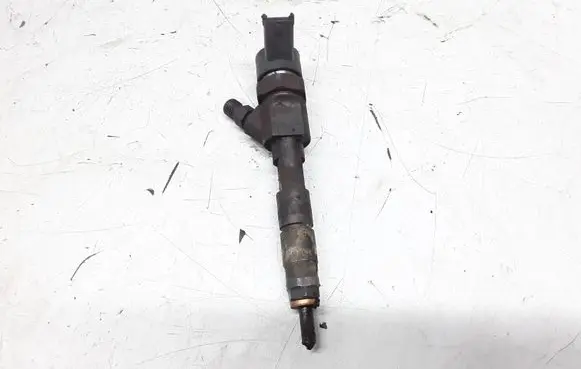 Renault Megane II Fuel injector 8200100272
