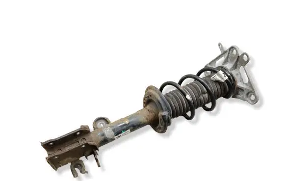 Jeep Compass Rear shock absorber with coil spring 00533806580