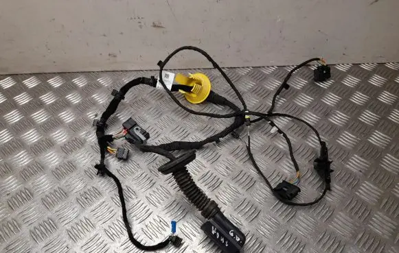 BMW iX1 Front door wiring loom 5A54F17