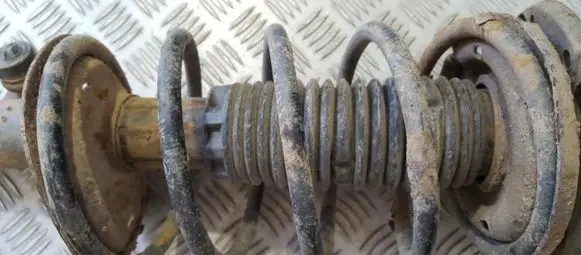 Front coil spring