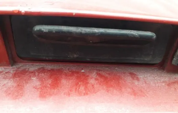 Tailgate/trunk/boot exterior handle