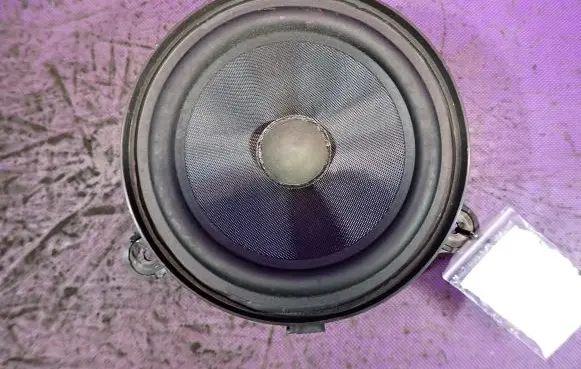 Renault Laguna III Front door speaker