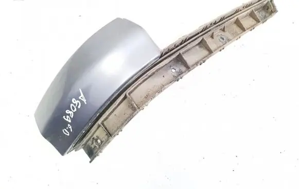 Rear/tail light trim molding