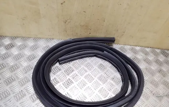 Mitsubishi Outlander Front door rubber seal