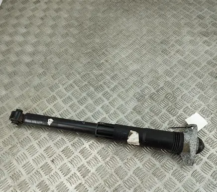 Volkswagen T-Roc Rear shock absorber/damper 5Q0513029NJ