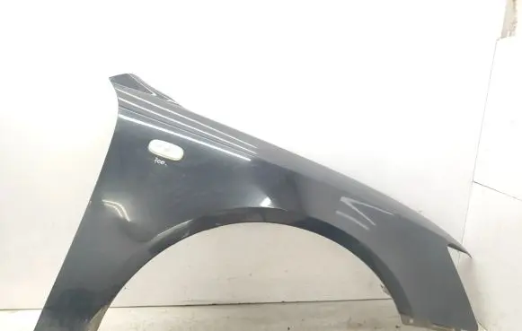 Hyundai Sonata Fender