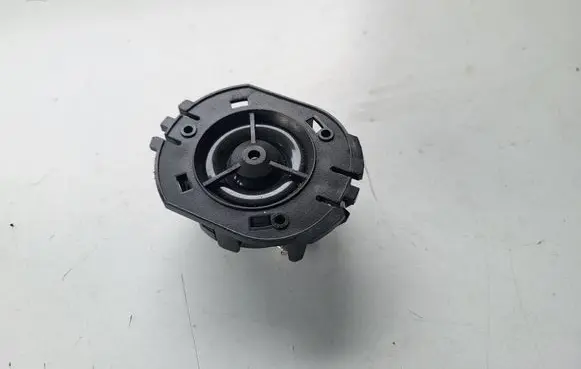 Nissan Qashqai Front door high frequency speaker