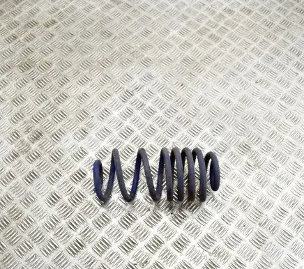 Opel Zafira C Rear coil spring KBA91305 289761HA