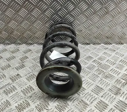 Tesla Model Y Rear coil spring 118847400B