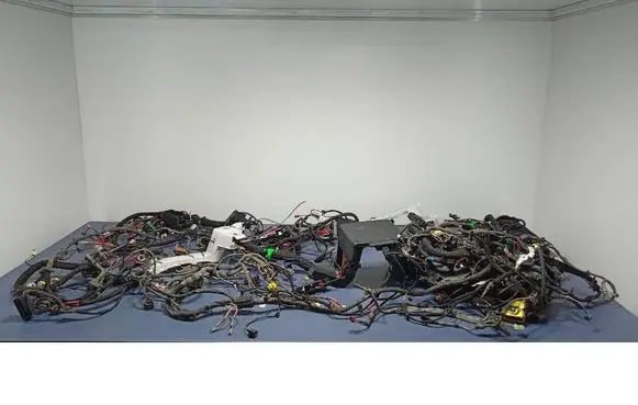Other wiring loom