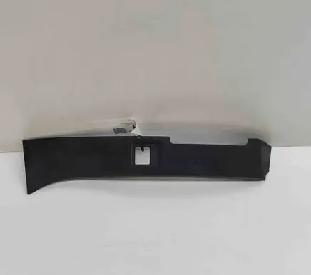 Rear/tail light trim molding
