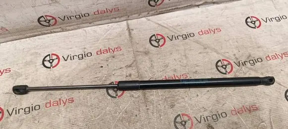 Tailgate/trunk strut/damper