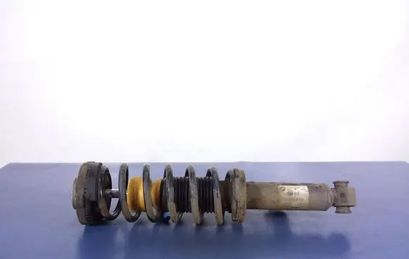 BMW X3 F25 Rear shock absorber/damper 6799911