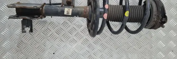 Nissan Murano Z51 Front shock absorber/damper