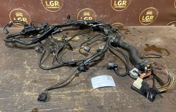 Engine installation wiring loom