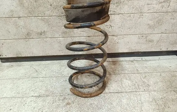 Mitsubishi Pajero Rear coil spring