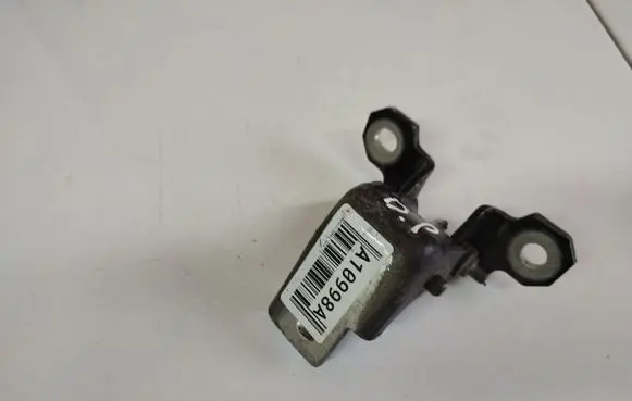 Renault Scenic III - Grand scenic III Rear door lower hinge