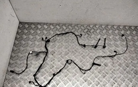 BMW X6 E71 Other wiring loom 6971082