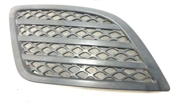 Front bumper lower grill