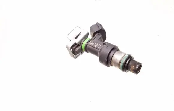 Renault Megane III Fuel injector H025241 5020X16
