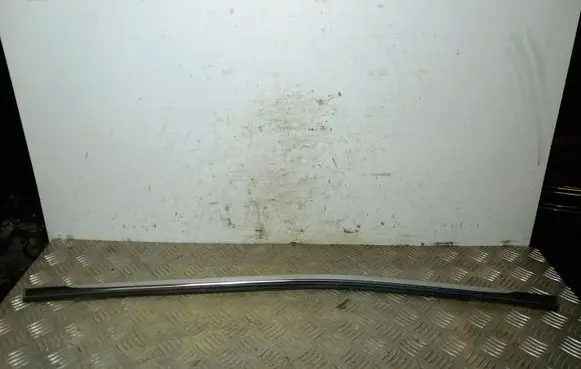 Rear door glass trim molding
