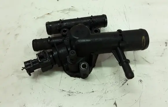 Thermostat/thermostat housing