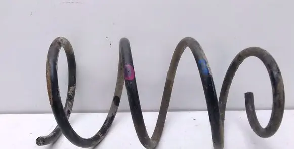Front coil spring