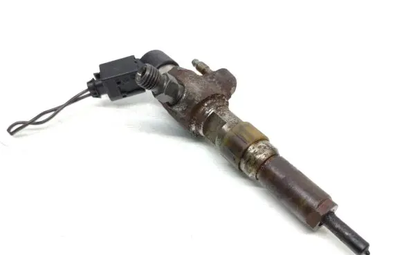 Ford Focus Fuel injector 9674973080 50274V05