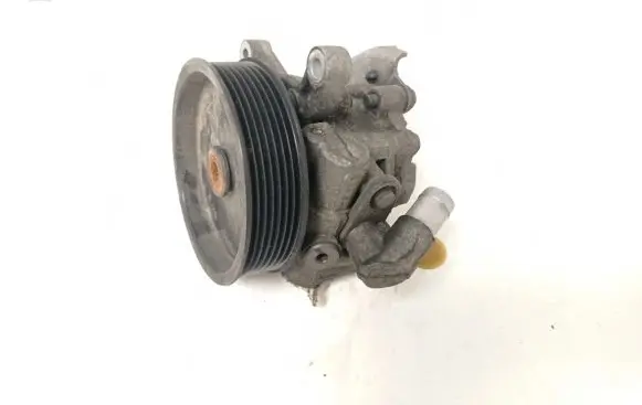 Mercedes-Benz CLS C219 Power steering pump A0054660301