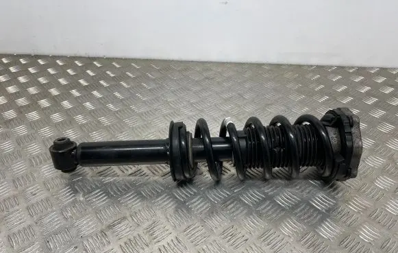 BMW X3 G01 Rear shock absorber with coil spring 
