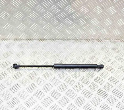 Tailgate/trunk strut/damper