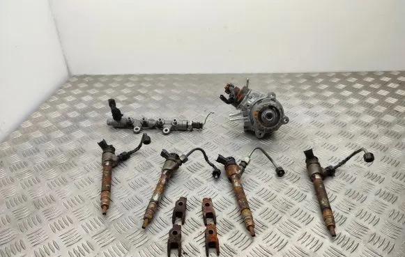 Citroen Berlingo Fuel injection system set 0445010761 9817903080 0445110955